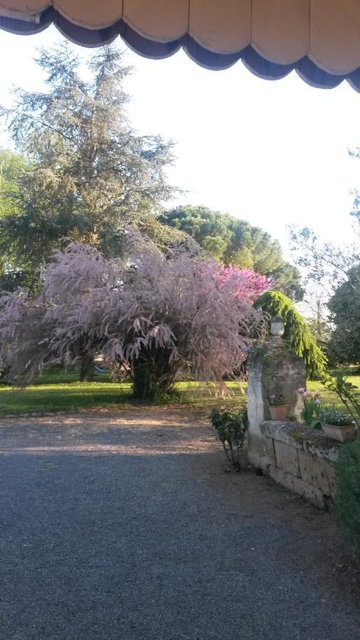 Domaine Mongiron Otel Nérigean Dış mekan fotoğraf
