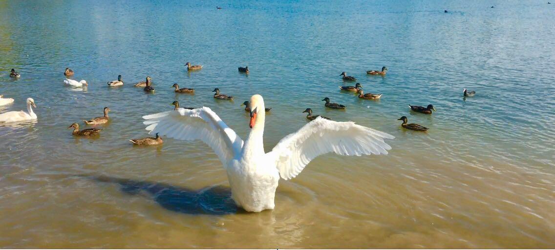 Domaine Mongiron Otel Nérigean Dış mekan fotoğraf