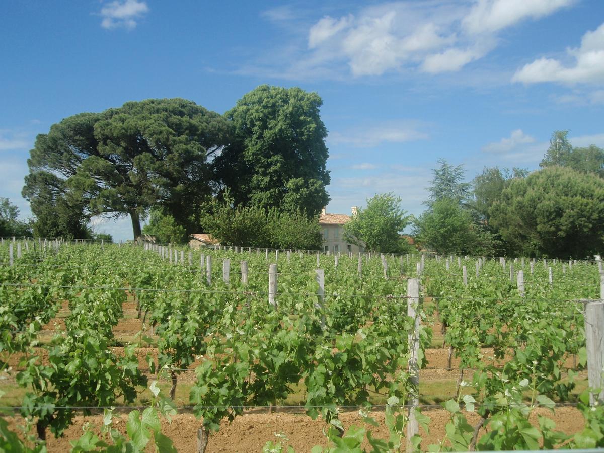 Domaine Mongiron Otel Nérigean Dış mekan fotoğraf