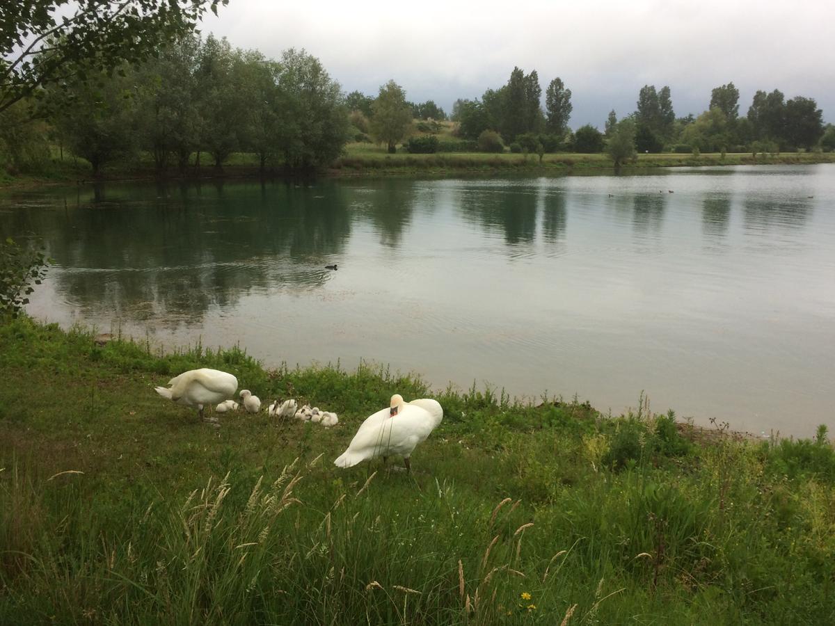 Domaine Mongiron Otel Nérigean Dış mekan fotoğraf